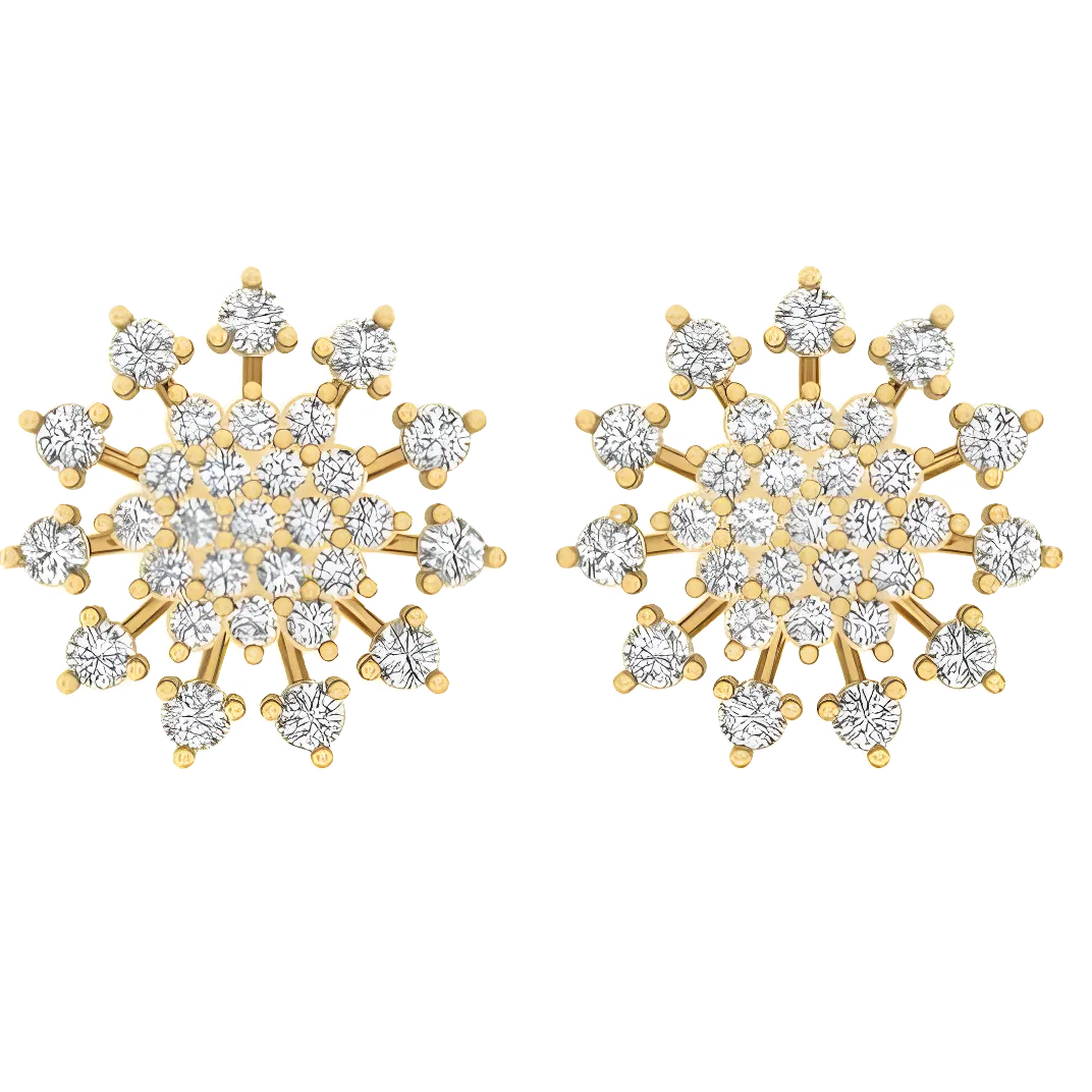 Boucles d'oreilles AIER-1312